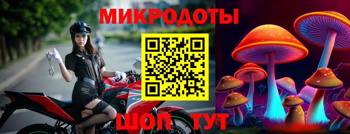 Псилоцибиновые грибы Psilocybe Уфа